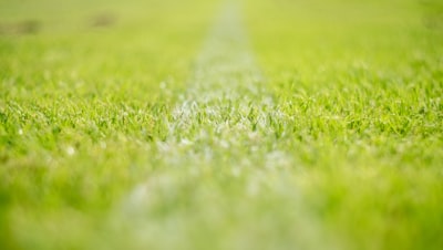 مبارياتدوريأبطالأوروبايومالثلاثاءوالاربعاء2020